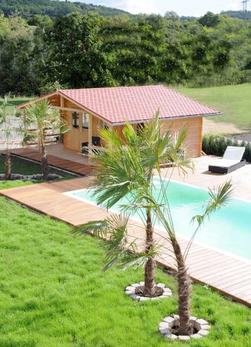 a house with a palm tree next to a pool at Caseti 5 Ferienwohnungen - Rothenburg u Bad Windsheim in Oberdachstetten
