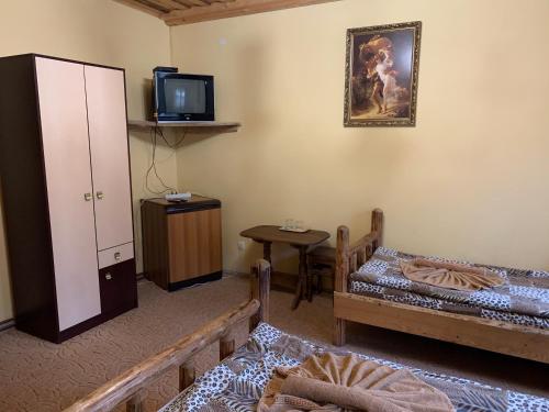a room with two beds and a tv on the wall at КРЕМІНЬ in Dragobrat