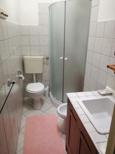 a bathroom with a shower and a toilet and a sink at Casa Marisa in Bibbiena