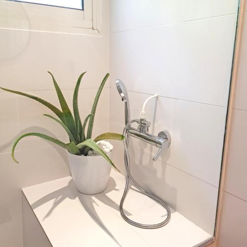 a bathroom with a shower and a plant on a sink at LA BOHEME, résidence de 5 appartements avec piscine, vue océan, Petite Ile in Petite Île