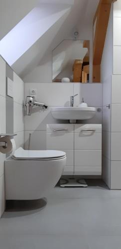 a white bathroom with a sink and a toilet at Altes Siedlerhaus Nesebanz in Gustow