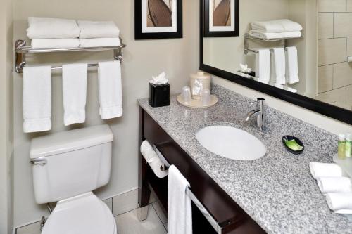 a bathroom with a sink and a toilet and a mirror at Holiday Inn Express Hotel & Suites Tampa-Rocky Point Island, an IHG Hotel in Tampa