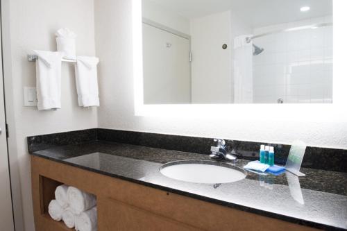 a bathroom with a sink and a mirror at Holiday Inn Express Pascagoula-Moss Point by IHG in Moss Point