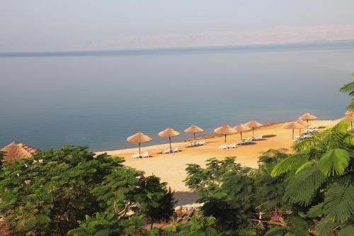 a beach filled with lots of palm trees at Holiday Inn Resort Dead Sea, an IHG Hotel in Sowayma