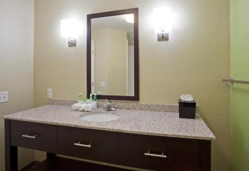 uma casa de banho com um lavatório e um espelho em Holiday Inn Express Hotel & Suites Rogers, an IHG Hotel em Rogers