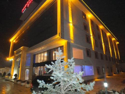 budynek z choinką przed nim w obiekcie Demosan Hotel w mieście Karaman