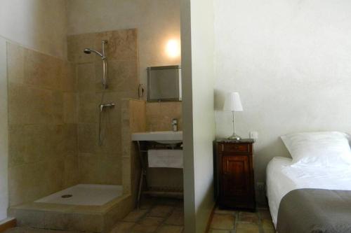 ein Bad mit einer Dusche und einem Waschbecken neben einem Bett in der Unterkunft Ancienne Abbaye de Franquevaux Anciennes Ecuries in Franquevaux