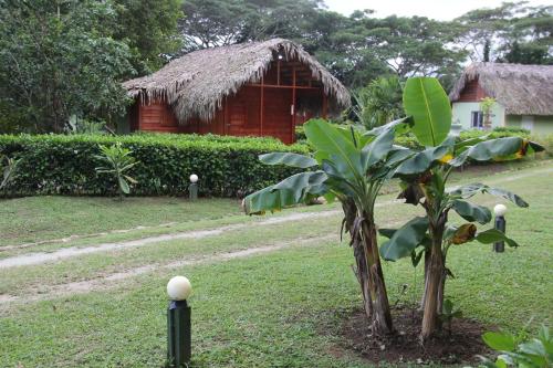 Gallery image of Yasipark - Nature Park und Ecolodge in Yásica Arriba