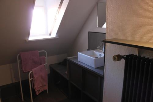 baño con lavabo y ventana en Appartement les Violettes, en Colmar