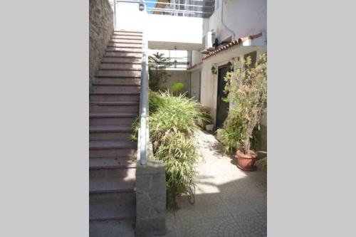 a stairway leading to a building with potted plants at SuperF2+2020 in LʼAgha