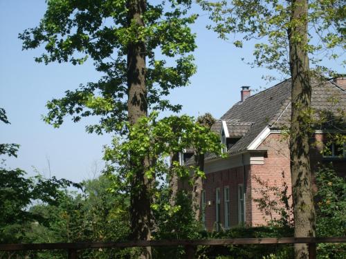 two tall trees in front of a brick house at Landgoed De Lavei in Weleveld