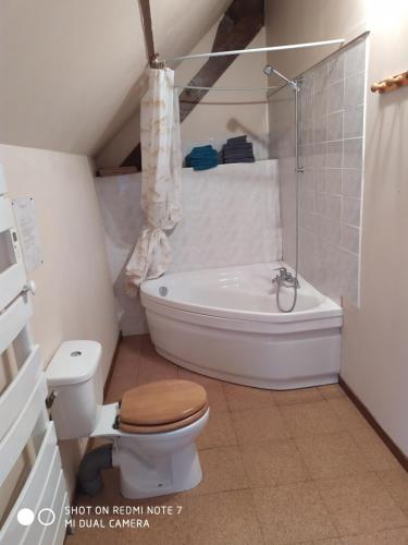 a bathroom with a toilet and a bath tub at Au bout de la marais in Ambrieres Les Vallees