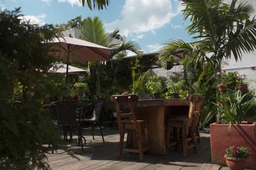 une terrasse avec une table, des chaises et des plantes dans l'établissement Hostal Hilltop Salento, à Salento