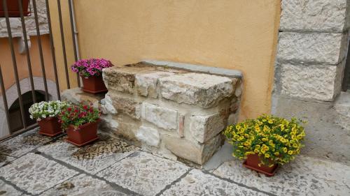 a group of potted plants sitting next to a wall at Dimora Antico Forno Soprano in Maschito