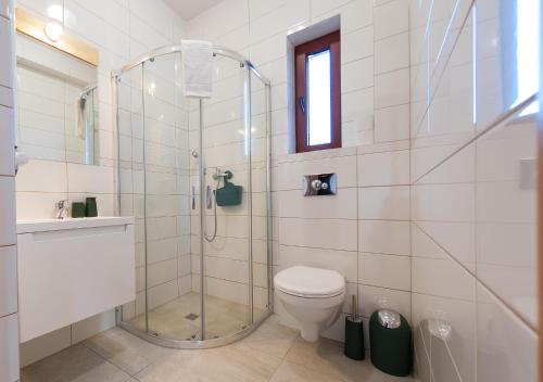 Un baño con inodoro y ducha de cristal. en Cudne Manowce, en Wisła