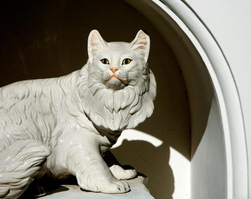 a statue of a white cat sitting in a window at Albergo Gatto Bianco in Capri