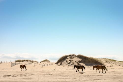 Sandy Cheeks – Photos 5