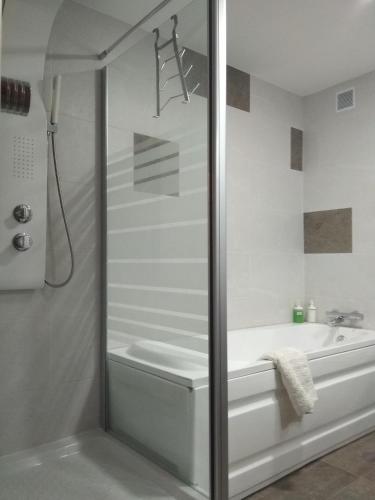 a bathroom with a shower and a bath tub at Bnap Gesta in Oviedo