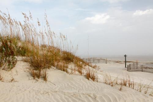 Fotografie z fotogalerie ubytování Catesby's Bluff 2240 v destinaci Seabrook Island