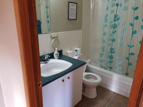 ein Bad mit einem Waschbecken, einem WC und einer Dusche in der Unterkunft All Star Resort in Madawaska