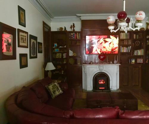 Ovid的住宿－Tillinghast Manor Bed & Brunch，带沙发和壁炉的客厅