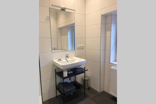 Premium Apartment in Altstadtnähe في غراتس: حمام مع حوض ومرآة