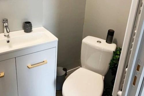 a bathroom with a white toilet and a sink at Caudry : Bel appartement plein centre in Caudry