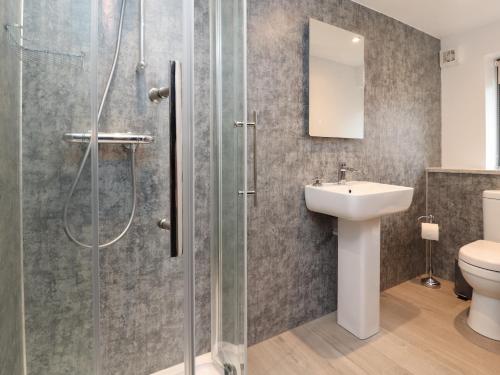 ein Badezimmer mit Dusche, Toilette und Waschbecken in der Unterkunft Ysgubor Tyddyn Isaf in Derwen