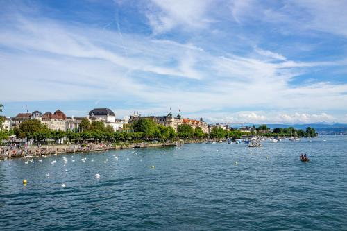 a large body of water with a group of boats at COSMOPOLITAN APARTMENTS Zürich Seefeld in Zürich