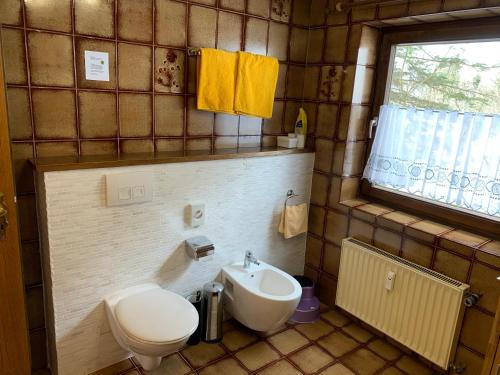 a bathroom with a toilet and a sink at Landhaus Alpenstern in Riezlern