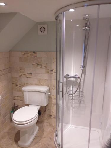 a bathroom with a toilet and a shower at holly cottage in Whitby