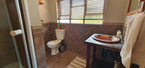 a bathroom with a toilet and a sink and a window at Aero Lodge Guest House in Middelburg