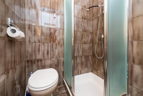 a bathroom with a toilet and a shower at Villa Kukuljica in Zaton