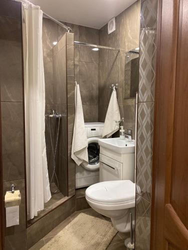 ベロクリハにあるApartment on Myasnikova 16のバスルーム(トイレ、洗面台、シャワー付)