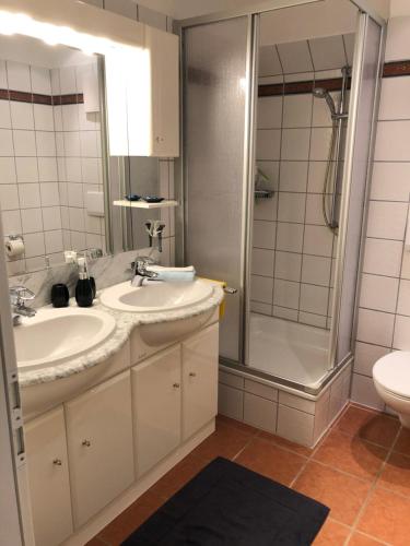 a bathroom with a sink and a shower at Refugium Raabenhorst im Landhaus am Haff in Stolpe auf Usedom