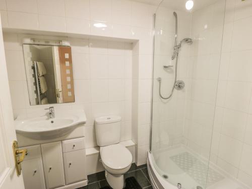 a bathroom with a toilet and a sink and a shower at The Garden Apartment in Filey