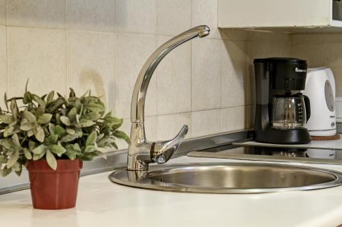 un fregadero con un grifo y una olla de plantas en Apartamentos Turísticos Centro, en Granada