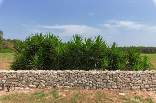 a stone wall in front of a group of plants at Masseria Specchiulla in Otranto