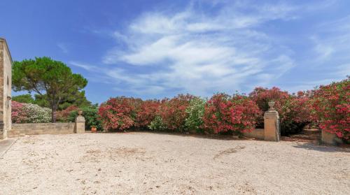 a row of pink flowers in front of a fence at Masseria Specchiulla in Otranto