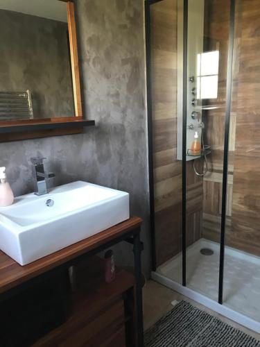 a bathroom with a white sink and a shower at Chez sandrine in Mouhet