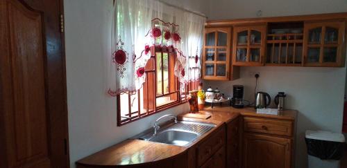 eine Küche mit einem Waschbecken und einem Fenster in der Unterkunft Elilia's Haven in Beau Vallon