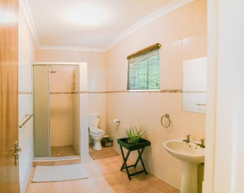 a bathroom with a shower and a toilet and a sink at Farmstay Okakeua in Okahandja