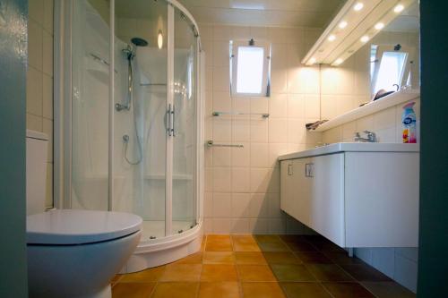 een badkamer met een douche, een toilet en een wastafel bij Het Jachthuus - Vakantiewoning Oscar Hoeve in Ede