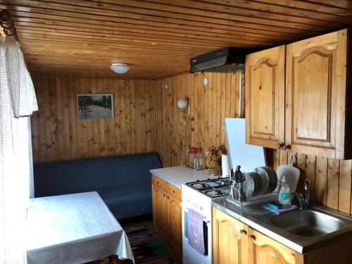 a small kitchen with a sink and a stove at Котедж на Довбуша in Yaremche