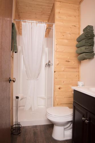 a bathroom with a white toilet and a shower at Miette Hot Springs Bungalows in Jasper