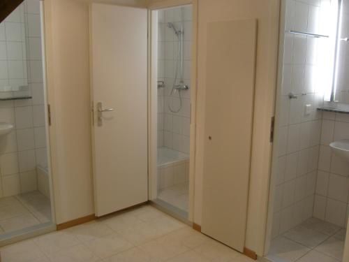 a bathroom with a shower and a toilet and a sink at Vista Resort Hostel in Zweisimmen