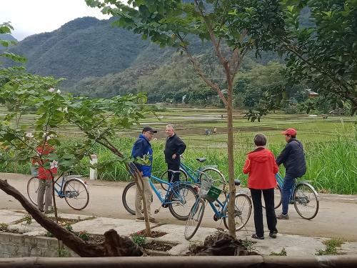 Berbasikal di atau sekitar Truong Huy Homestay