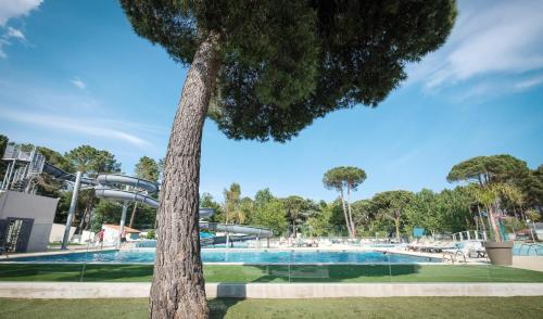 a tree in front of a swimming pool at Camping Taxo Les Pins - Maeva in Argelès-sur-Mer