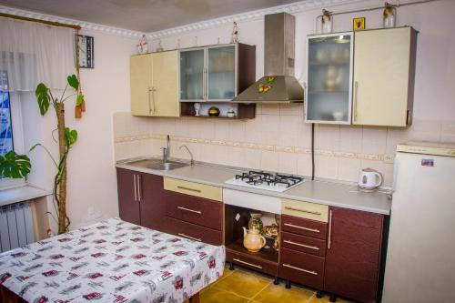 Кухня или мини-кухня в Apartment on Malaya Arnautskaya 21
