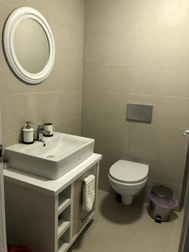 Ştefăneştii de JosDora High Life - North的浴室里有洗手池、马桶和镜子。